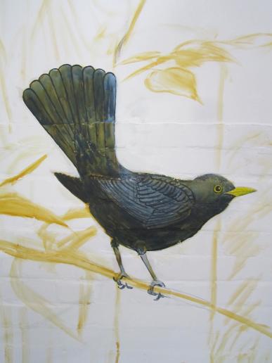 AMSEL, Acryl, 2021