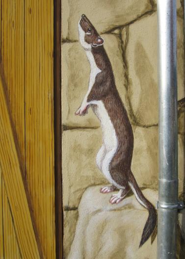 HERMELIN, Acryl, 2021 Carlshan