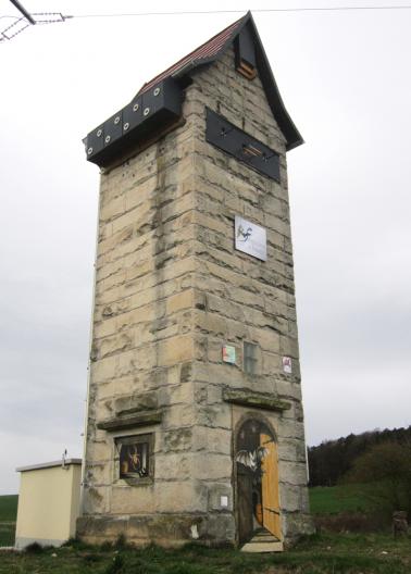 Turmtürenbemalung im Steigerwald 2024