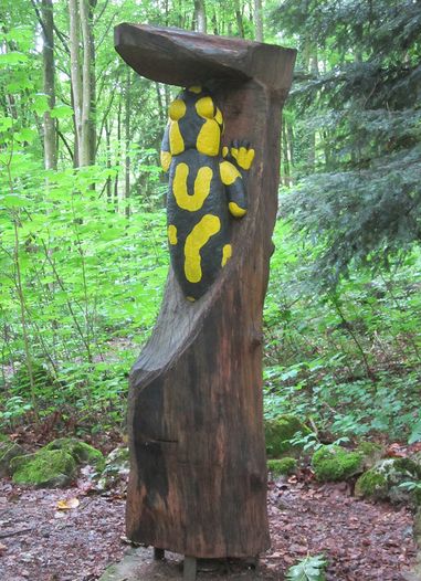 FEUERSALAMANDER, aufgestellt im Wengleinpark in Eschenbach, Eichenholz, H.170cm, B.50cm, T.40cm, 2009